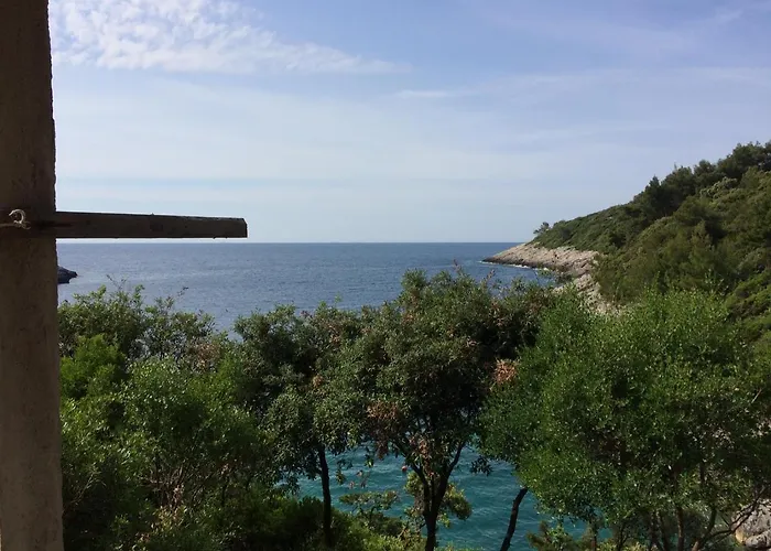Contessa Robinson House Holiday home Zrnovo